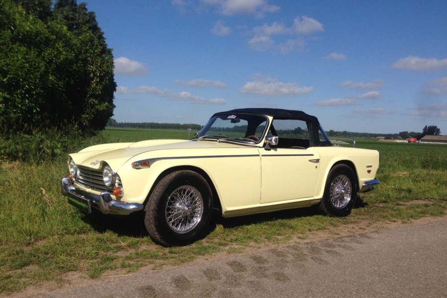 Triumph TR 250