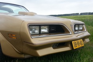 Pontiac Firebird Trans am Gold Edition